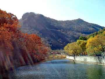 新澳天天开奖资料大全旅游团，昌吉物流